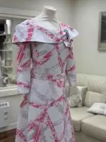Casssandra Bel Silver Pink Dress 4.jpeg image