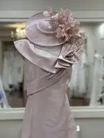 Aya Blush Dress 1.jpeg image