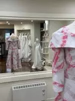 Casssandra Bel Silver Pink Dress 3.jpeg image