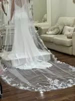 10215-veni-veil-2