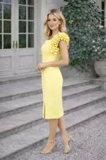 2627 Lemon Dress Darling image