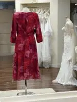 Carla Pink Dress by Cassandra 2.jpeg image
