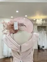 Aya Blush Dress 2.jpeg image