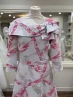 Casssandra Bel Silver Pink Dress 2.jpeg image