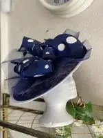 IS840 image
