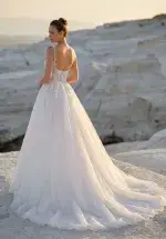 tairis back image